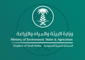 “البيئة” تستعرض المواضيع المطروحة أمام قادة مجموعة الـ 20 خلال رئاسة المملكة في 2020