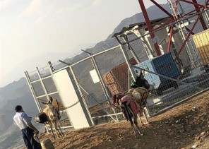 شاهد.. انقطاع الطرق يضطر متعهد إيصال الوقود لأبراج الاتصالات في شرق الليث لاستخدام “الحمير”