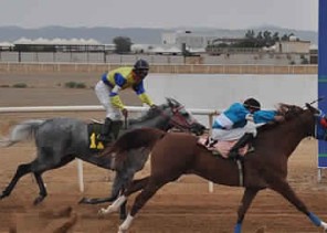 ميدان الفروسية بحائل يقيم حفل سباقه السادس