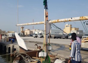 تركيب 2000 جهاز تتبع آلي على قوارب الصيد بالخليج العربي من المملكة