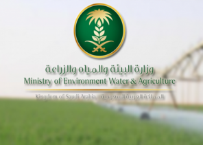 “البيئة” تطرح تطوير مرفأي القطيف والزور للاستثمار أمام القطاع الخاص