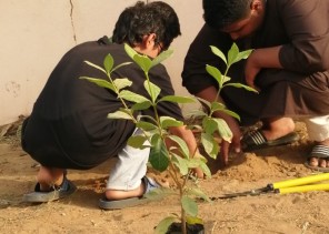 انطلاق الأعمال التطوعية بحي الملك فهد بأبو عريش