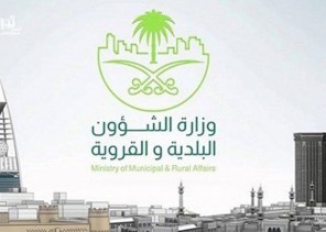 رسمياً.. «البلديات» تمنع تقزيم الأشجار