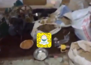 ضبط منزلين استخدمتهما عمالة وافدة لتصنيع مادة التنباك في تبوك (فيديو)