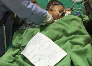 كلب ضال يهاجم طفلاً داخل منزله بتبوك