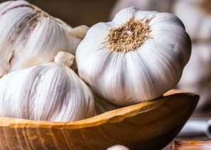 علماء: “الثوم” يمنع نزلات البرد والسرطان