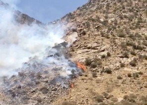 بالفيديو والصور.. حريق يلتهم 54 ألف متر من غابات وشجيرات جبل “البلس” في بلقرن