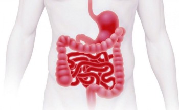 هل تعاني آلام القولون العصبي؟.. إليك أبرز طرق العلاج