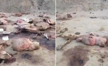 مواطن يوثق مشهد كارثي بالقرب من مركز الشميسي في مكة