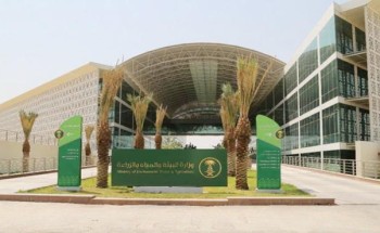 نظام جديد للأرصاد.. مليون ريال غرامة لراصدي الطقس دون ترخيص