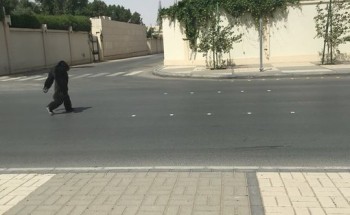 بالصور .. شاهد “غوريلا” تتجول على قدميها مثل البشر في شارع عام بالرياض