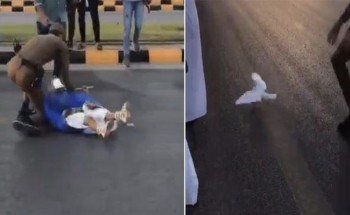 شاهد فيديو .. حمامة كادت أن تتسبب في” كارثة” بدهس رجل أمن وطفلة!