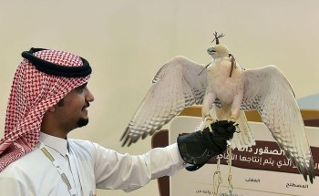 مبيعات الصقور تتجاوز ٤ ملايين ريال منذ انطلاق معرض الصقور والصيد السعودي٢