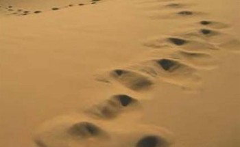 اختفاء مُسن في ظروف غامضة بعد خروجه من شقراء باتجاه الرياض.. والجهات الأمنية تعثر على سيارته