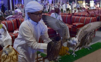 في أول أيام معرض الصقور.. تحقيق مبيعات بأكثر من مليوني ريال (فيديو وصور)