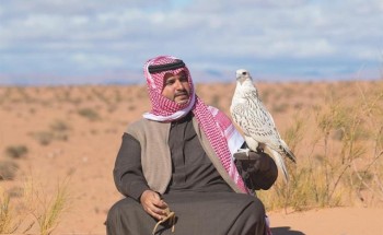 بالصور..الأمير تركي بن محمد يقنص بالصقر النادر الذي أهداه بوتين للملك سلمان