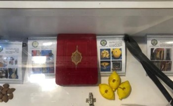 بالصور..أغرب وأحدث طرق تهريب المخدرات إلى المملكة