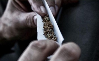 مكافحة المخدرات تُحذر من تعاطي مادة الحشيش المخدرة وتوضح أضرارها الصحية والنفسية