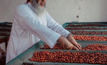 بالصور.. جبال الداير “حاضنة البن و عاصمته” تنتج أجود و أغلى أنواع البن في العالم