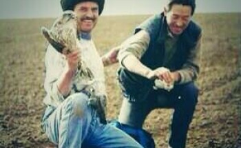 أشهر صقار بالشمالية يحكي عن مغامراته مع الصقور