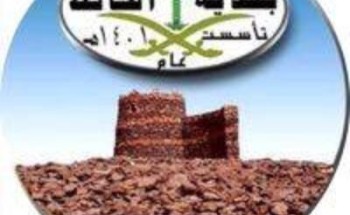 بلدية محافظة الحائط تواصل جولاتها الرقابية على محلات الخضار والفاكهة لمنع تفشي فيروس كورونا