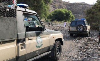 ضبط كميات من الحشيش والأسلحة والذخيرة و2.8 مليون ريال في عدة مناطق