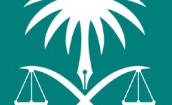 النيابة تكشف عن التحقيق مع الشاب المتنكر في الباحة المتسبب في فزع عدد من المواطنين