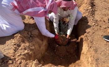 رابطة تبوك الخضراء تتابع برنامجها الأول لتنمية الغطاء النباتي بالمنطقة في اليوم العالمي لمكافحة التصحر