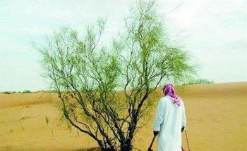 الجريدة الرسمية تنشر نظام البيئة الجديد .. والكشف عن أهدافه!