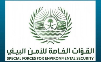 الأمن البيئي: تحديد هوية الأشخاص الذين تم تداول مقطع عن قيامهم بإيذاء سلاحف على أحد شواطئ أملج