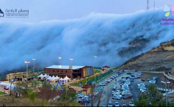 غداً الجمعة بحضور وكيل أمارة الباحة .. اختتام فعاليات وسام البادية (٢)