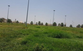 الأهالي في أحد المسارحة يشتكون من انتشار الزواحف والثعابين .. والمجلس البلدي يعلق!