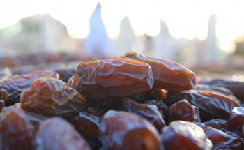 أكثر من 8 آلاف طن من التمور تم بيعها في ” موسم تمور المدينة ” والعجوة أبرزها