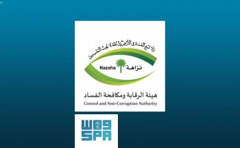 هيئة الرقابة ومكافحة الفساد تباشر 889 قضية جنائية وتأديبية