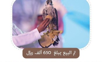 لليوم الخامس مزاد نادي الصقور يحقق مبيعات بلغت مليون ريال .. منها 650 ألف ريال لشاهين فرخ