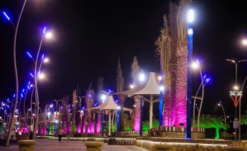 منطقة الجوف تكتسي باللون الوردي تضامنًا مع حملة مكافحة سرطان الثدي