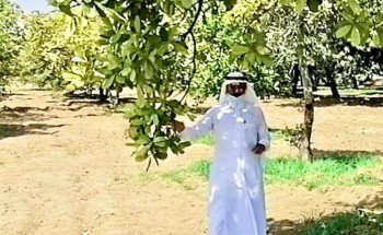 زيارة مدير ادارة تخطيط الابحاث لمركز الأبحاث الزراعية بجازان