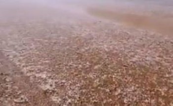 شاهد: تبوك تكتسي بـ”اللون الأبيض” بعد تساقط البرد على أماكن متفرقة!