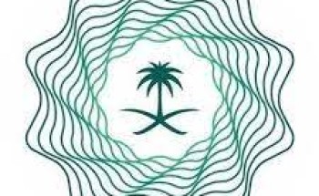 المالية تطلق قنوات دفع إلكترونية إضافية لسداد الرسوم الحكومية