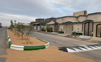 بالصور: مواطن ينفذ مبادرة تشجير وترصيف بشارع أمام منزل بروابي عرعر