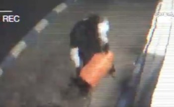 باستخدام أسطوانة غاز .. بالفيديو: مواطن يحاول سرقة ماكينة صراف آلي في حائل .. والجهات الأمنية تطيح به!