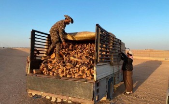 القوات الخاصة للأمن البيئي تضبط أكثر من 4 أطنان من الحطب المحلي في الرياض