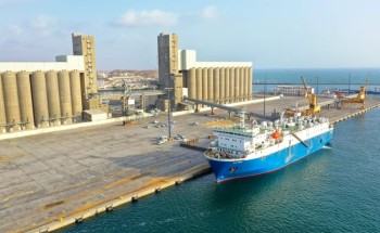 استقبال أول شحنة مواشٍ بميناء جازان بعد توقف لـ41 شهرا