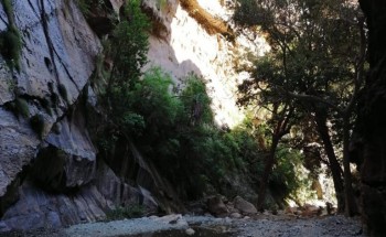 وادي لجب بجازان  أعجوبة الطبيعة ومقصد السائحين