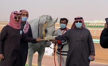 شاهد: لحظة فوز مربط الدواميك للخيول العربية الاصيلة  للمالك محمد صنيتان ابن مرشد     “مرتجز الخالدية” بالشوط الثالث من الحفل الـ 15 بميدان حائل للفروسية