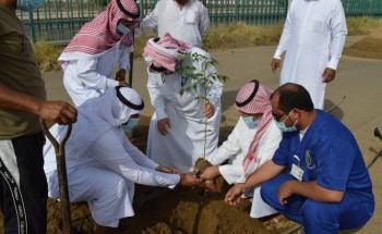 ‏بالتعاون مع فرع وزارة البيئة والمياه والزراعة بجازان.. تشجير مبنى الإذاعة والتلفزيون بمنطقة جازان
