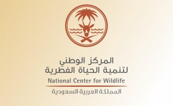 الحياة الفطرية تعلق على حادث افتراس أسد لصاحبه بالرياض: أمرًا ذا درجة عالية من الخطورة