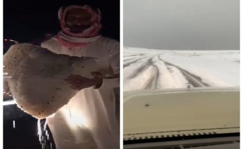 شاهد: حرة بني رشيد في أزهى جمالها بعد هطول الأمطار  عليها .. وجبالها تتلألأ بالبياض الناصع