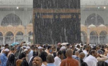 رزقُ الحكيمِ