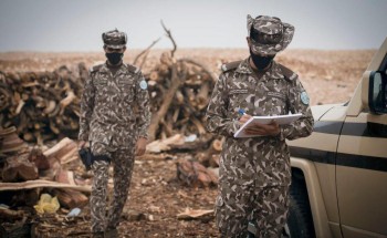 القوات الخاصة للأمن البيئي: ضبط كميات من الحطب المحلي المستخدم لأغراض تجارية